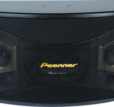  Loa PS 990 chính hãng Peenner giá tốt tại NHẬT ĐỨC